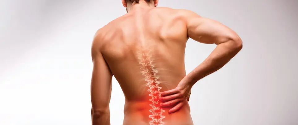 Back Pain representation