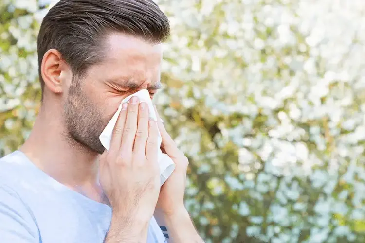Allergic Rhinitis (Hay Fever) representation